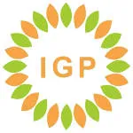 PT IGP International company logo
