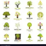 treecommodate company logo