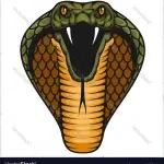 Cobra testting company logo