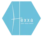Hexxa Academy company logo