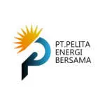 PT Pelita Bioenergi Nusantara company logo