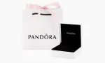 Pandora Warnet & Playstation company logo