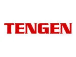 Tengen Industri company logo