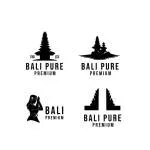 Bali Arts Promotion company logo
