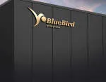 Bluebirdgroup Bali company logo