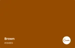 Brown Bag Films company logo