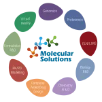 Molecular Processing Solutions LLC company logo