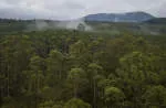 PT Hutan Lindung Kelian Lestari company logo