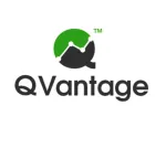 Q Vantage Pte Ltd. company logo