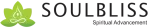 Soul Bliss Journeys company logo