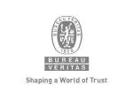 Bureau Veritas company logo
