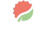 Lychee Learning company logo