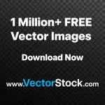 Elasto Beauty Clinic company logo